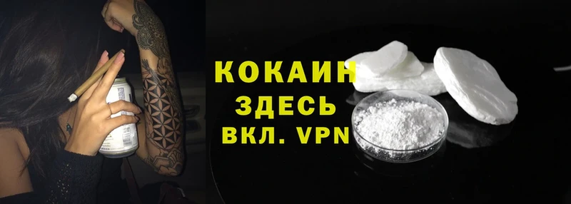 mega ТОР  Болхов  Cocaine Боливия  купить закладку 